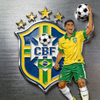 巴西国家队队徽及球队形象