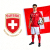 瑞士国家队队徽及球队形象